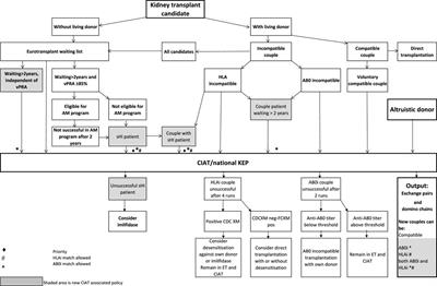 Increasing Kidney-Exchange Options Within the Existing Living Donor Pool With CIAT: A Pilot Implementation Study
